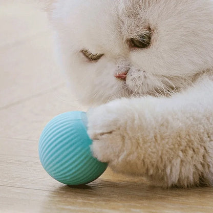 Interactive Cat Ball