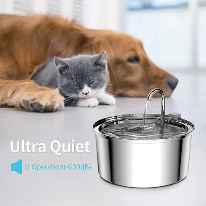 Pet Water Fountain