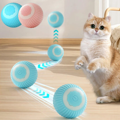 Interactive Cat Ball